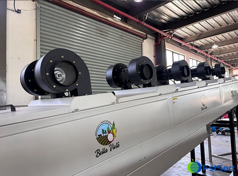 secadora de fruta del dragón.jpg secadora de fruta del dragón.jpg